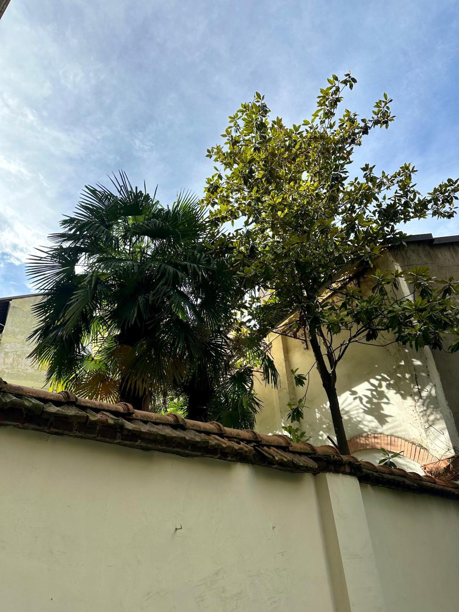 Apartment Lr Deluxe - Porta Venezia - Bilocale Con Giardino Privato Milan
