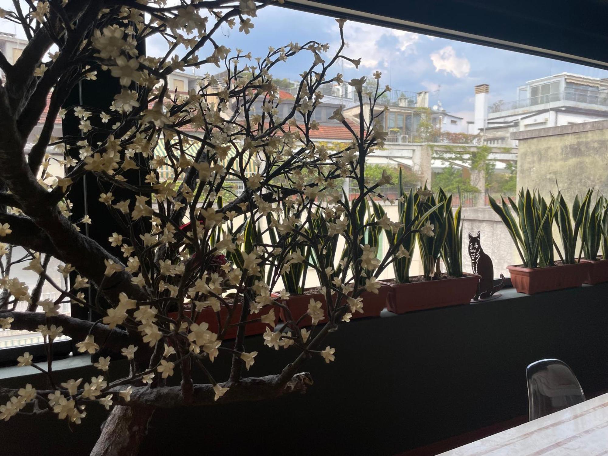 La Fontana Tra I Tetti - Apartment