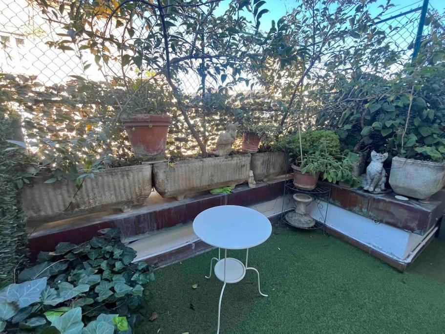 Monolocale In Centro Con Terrazzo Apartment *