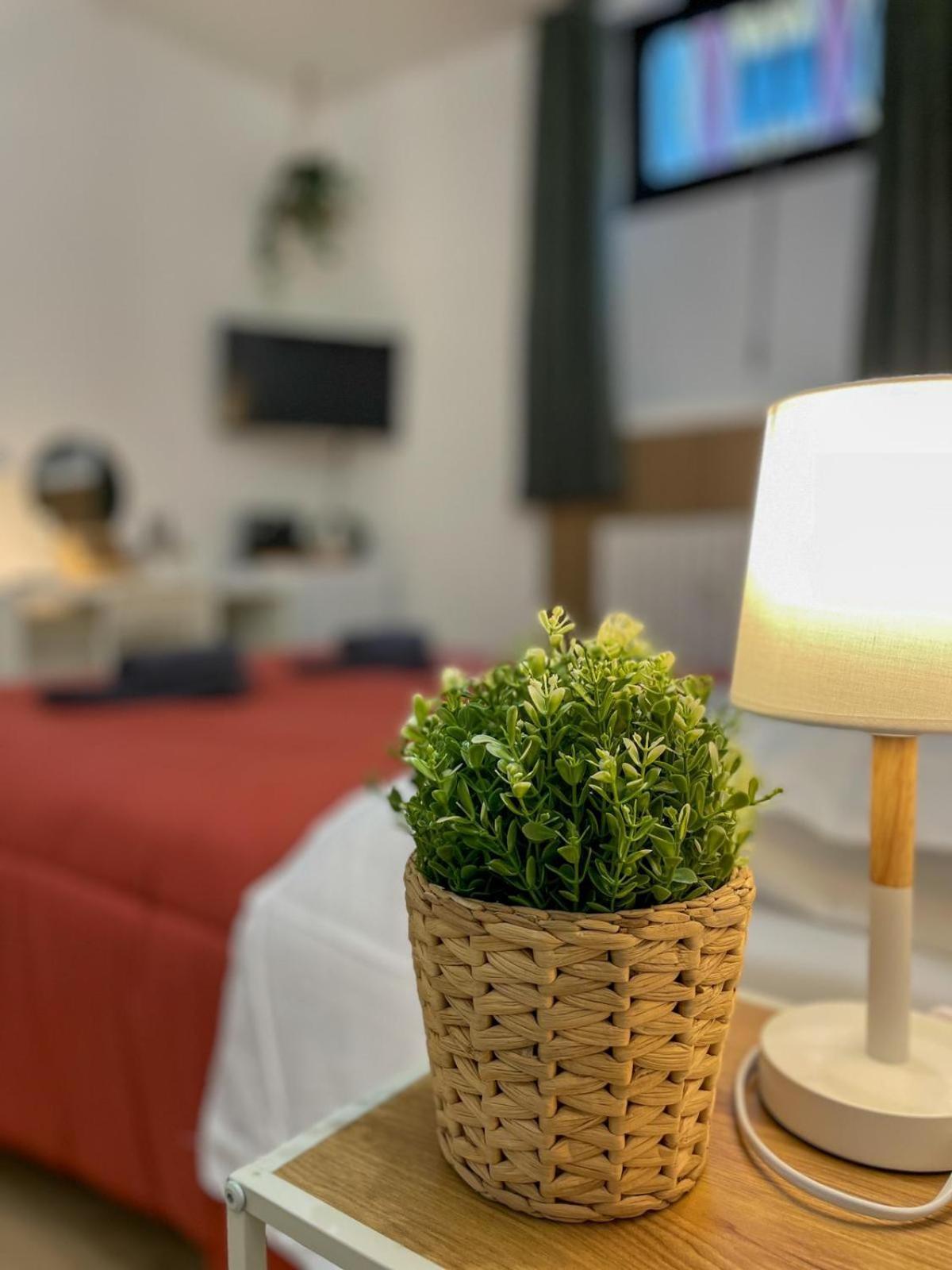 In Town - In Life Homestay Milan