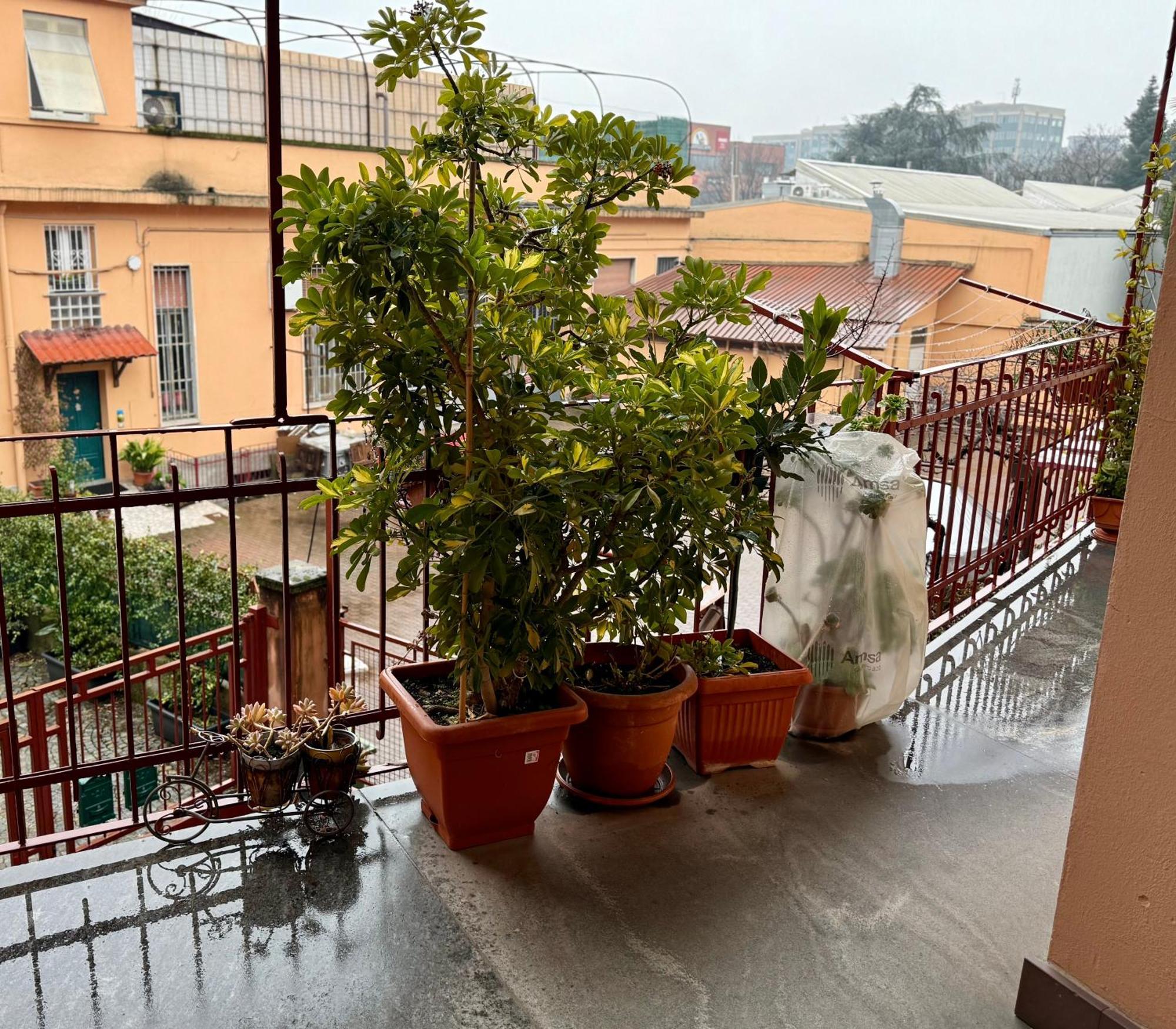 Cozy Furnished In The Hearth Of Milan