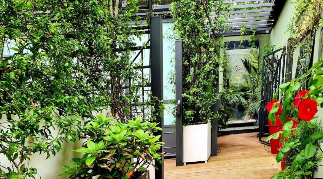 Jasmine Garden Apartment Milan