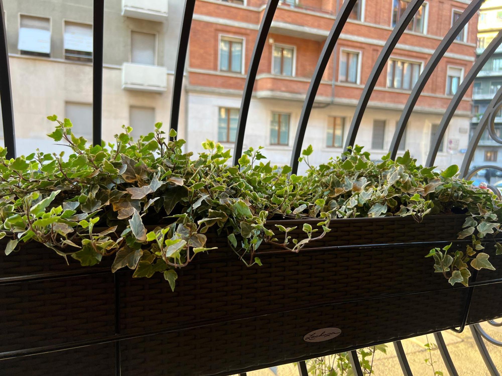 Mercadante Apartamento *