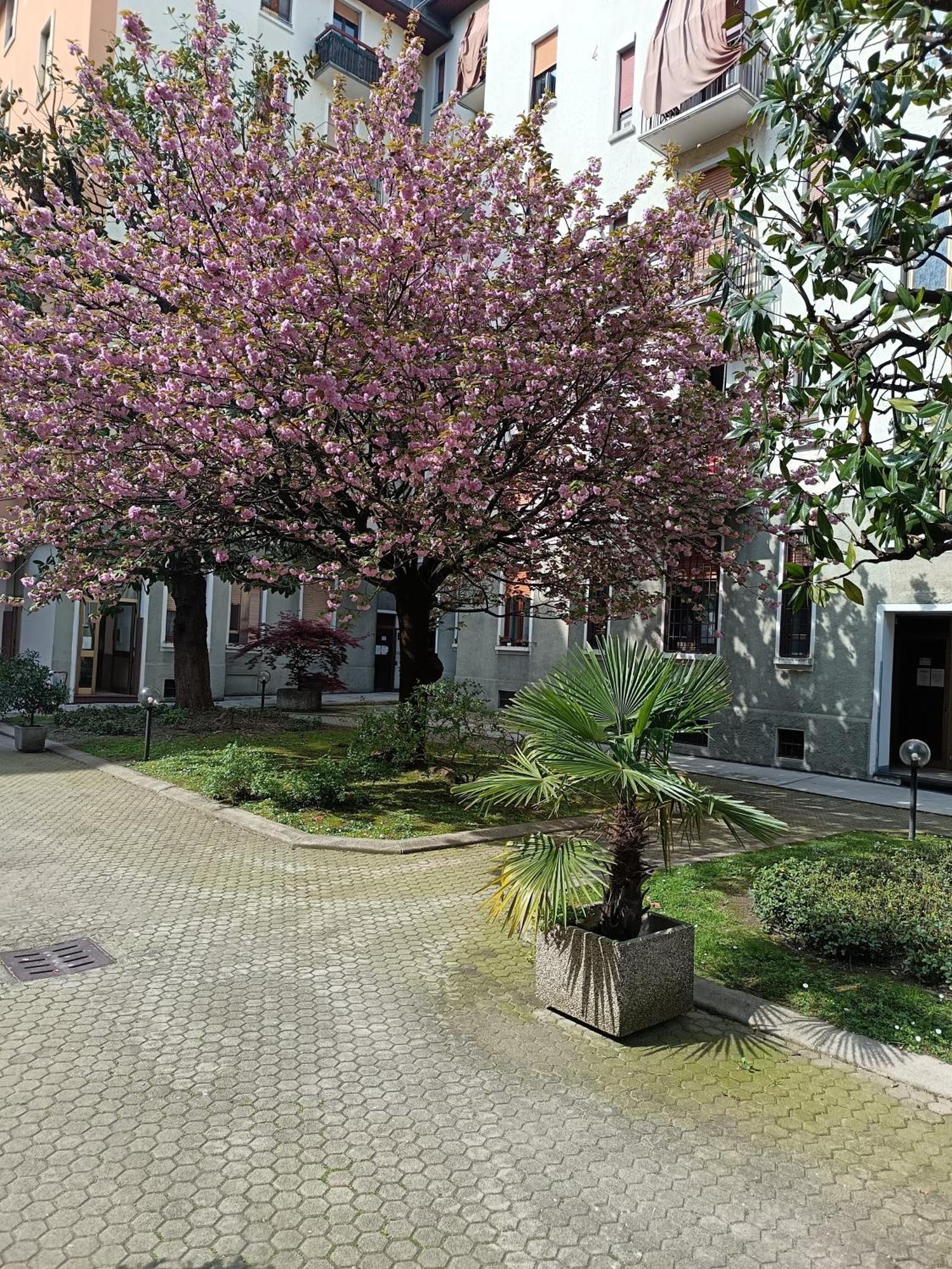 Criste Apartment *