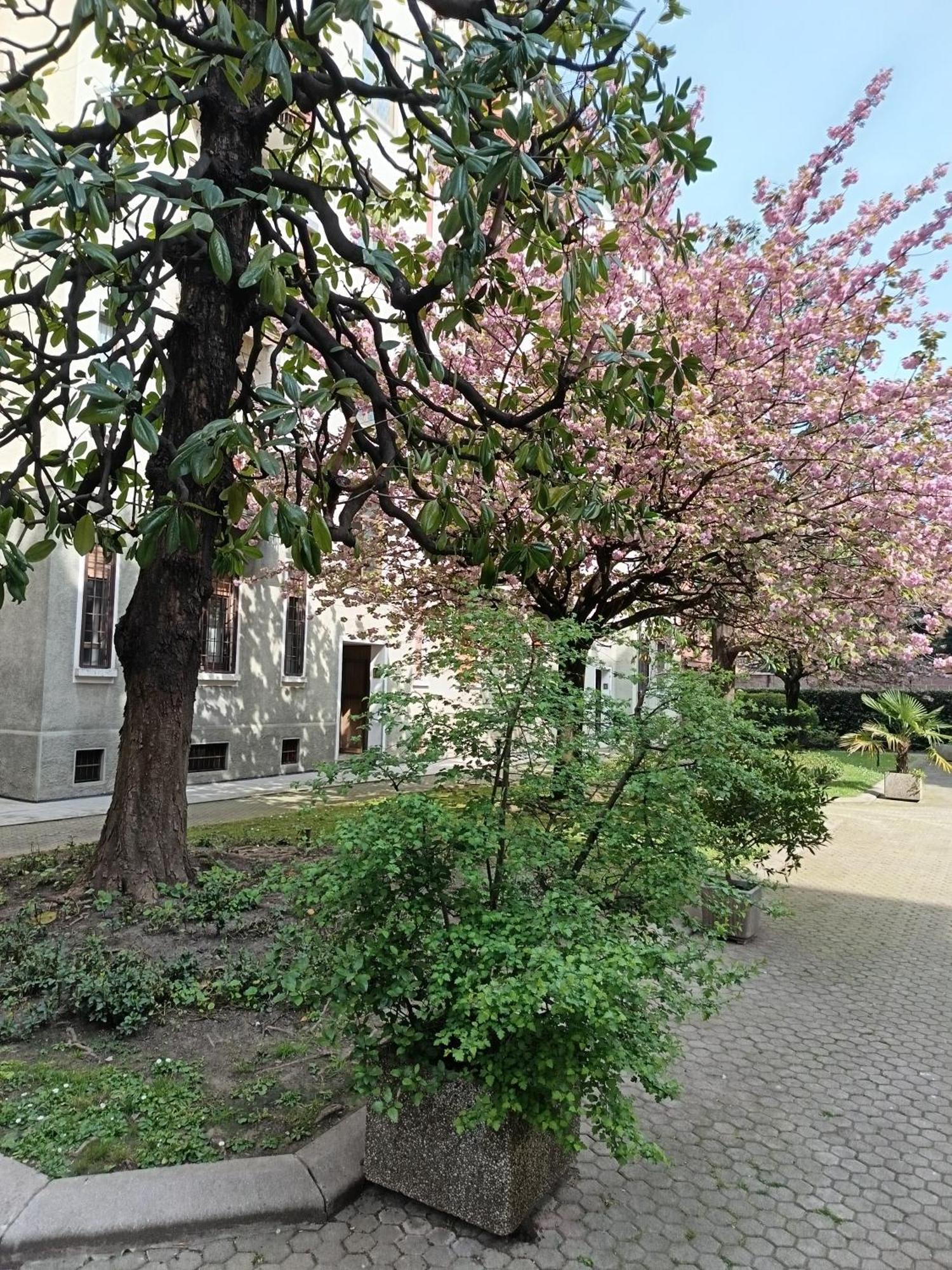 Criste Apartment Milan