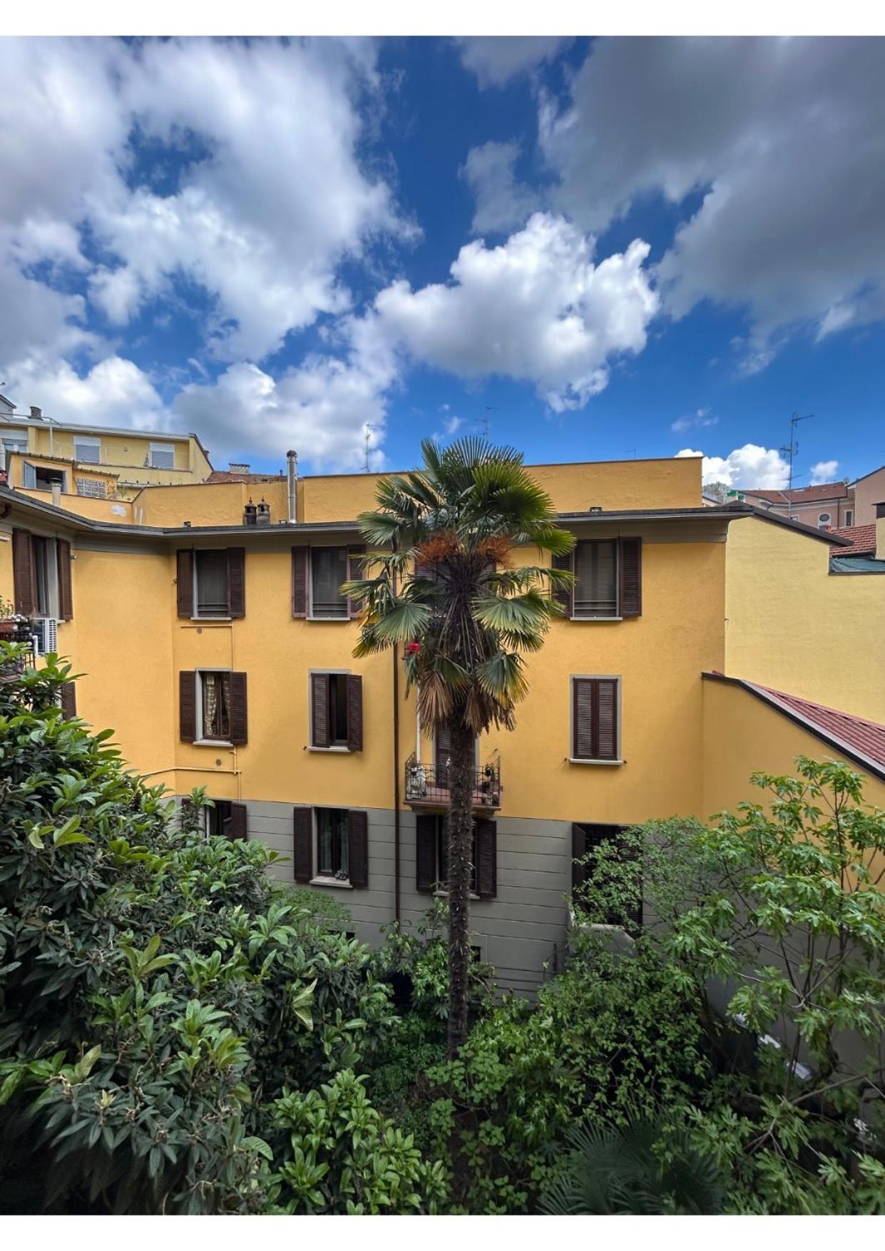 Apartment Nolo
