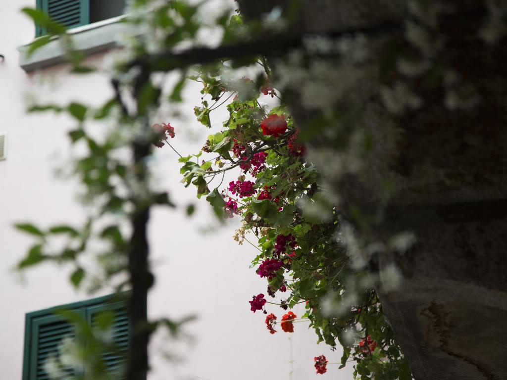 Hintown China Town Flat Apartment Milan