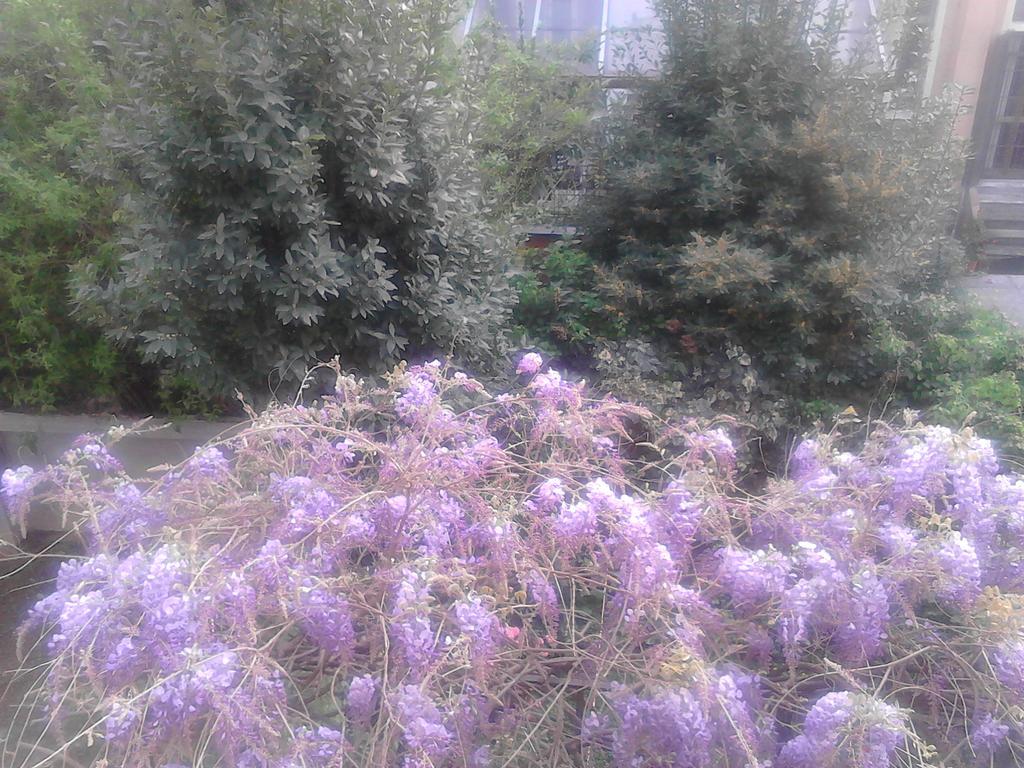 La Villetta 3* Milan