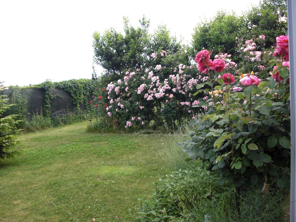 Bed & Breakfast La Corte Del Ronchetto