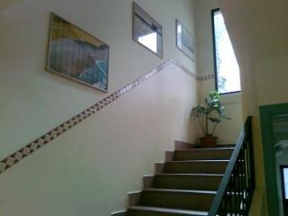 Hotel Losanna 3*