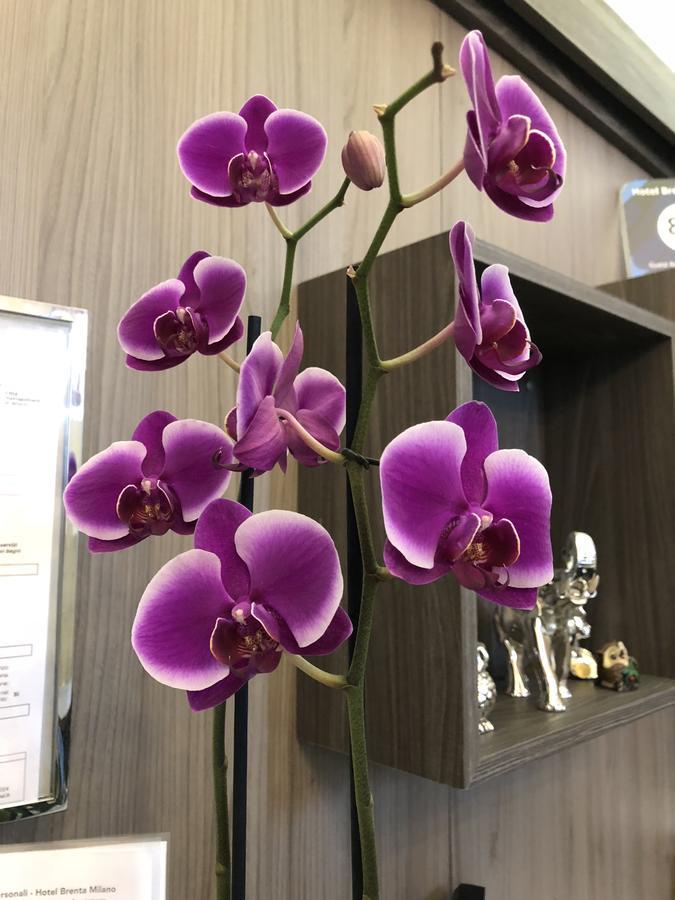 Brenta Hotel Milan