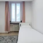Forlanini Home Con Free Parking Linate Airport