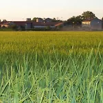 Cascina Battivacco