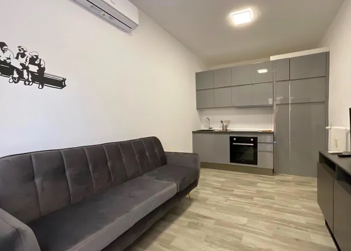 Very Nice Flats In Milan Navigli Center