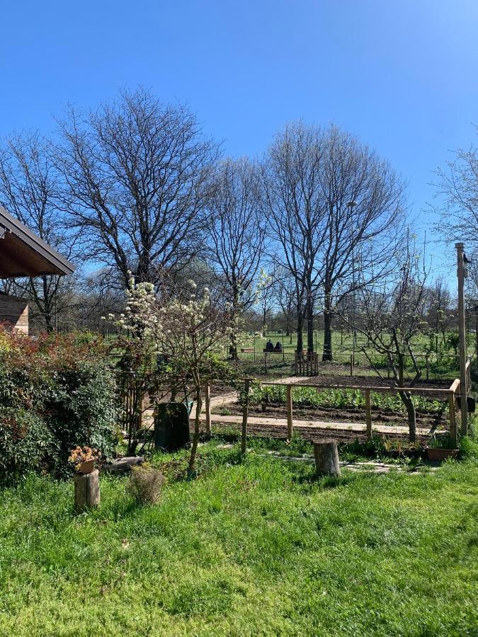 Cascina Bellaria Albergue *