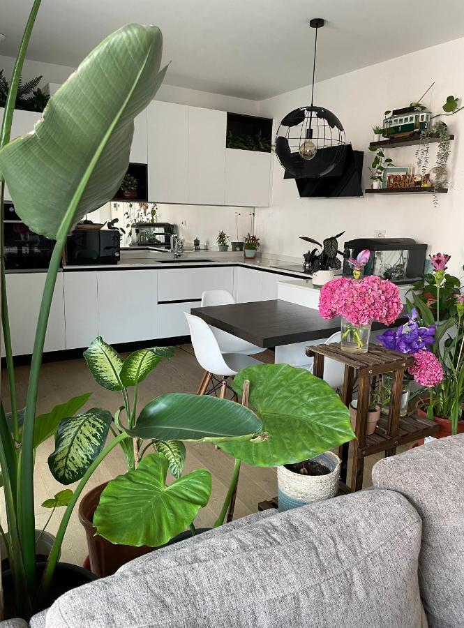 Homestay Mowgli House - Luxury Private Milan