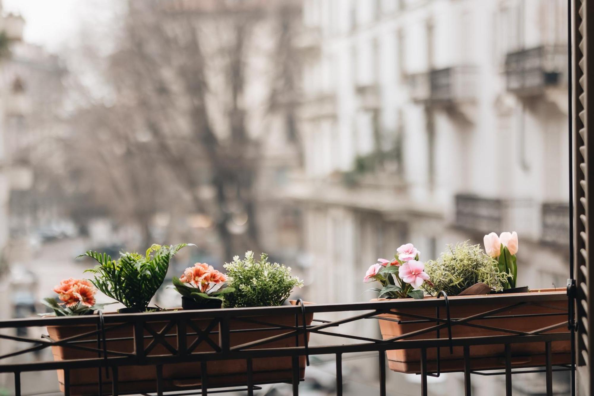 Charming Brera - Madonnina Apartment *