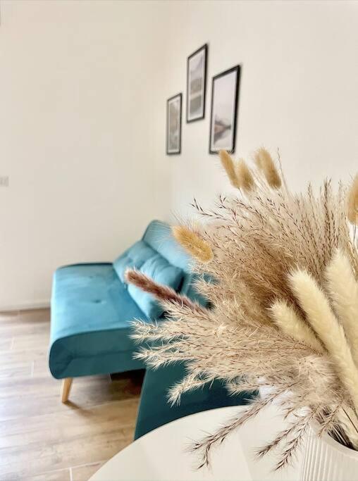Apartment Charm House *