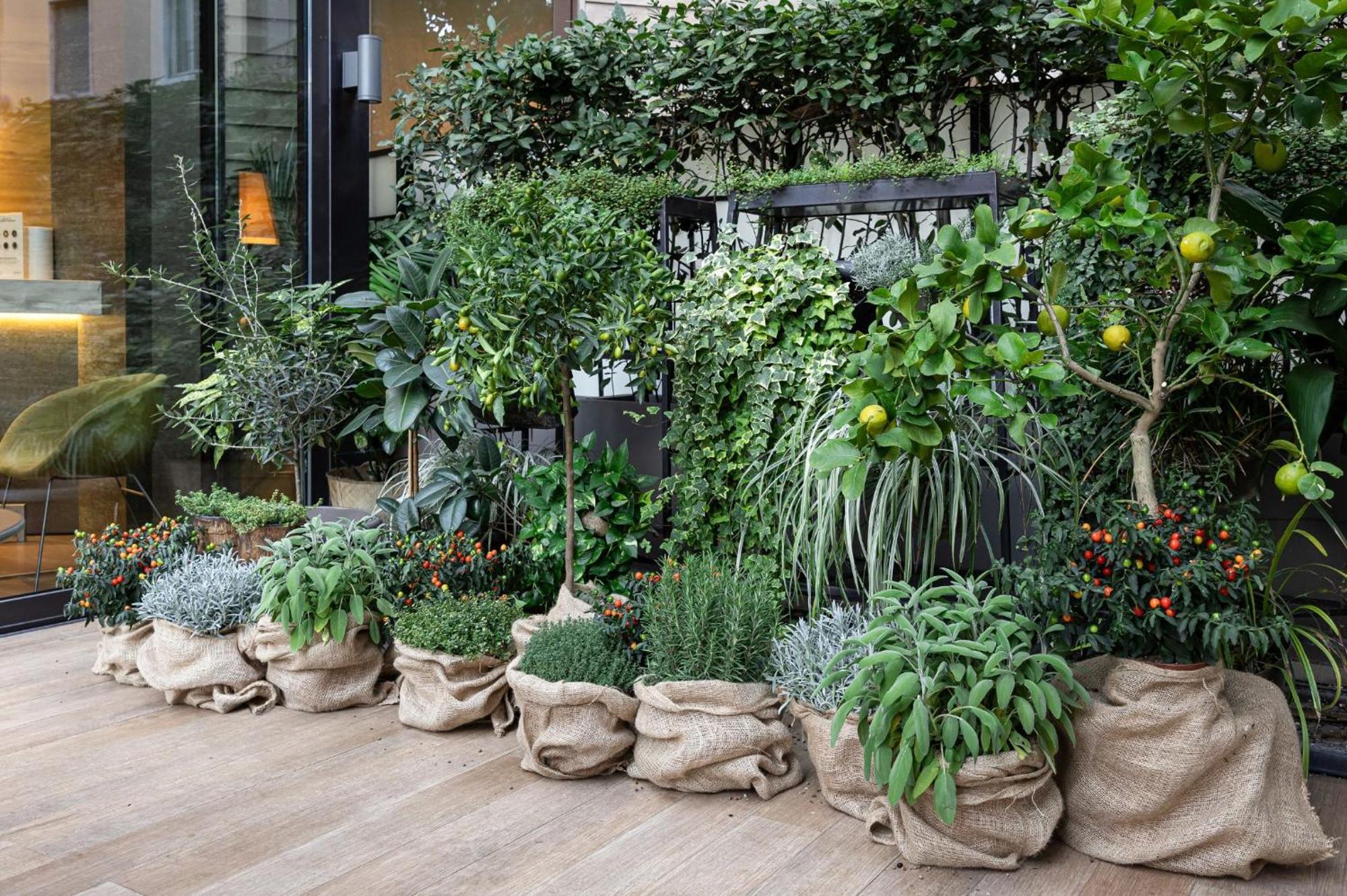 Hotel Starhotels Echo Milan