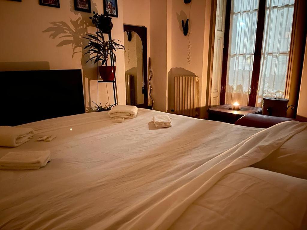 Homestay La Stanza Della Giungla