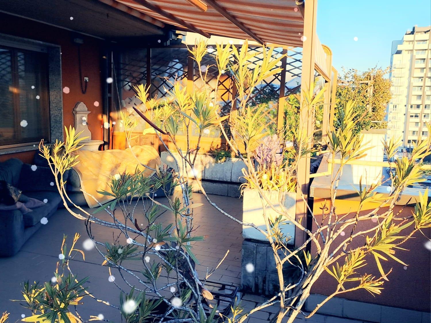Meraviglioso Super Attico Con Terrazza Apartment *