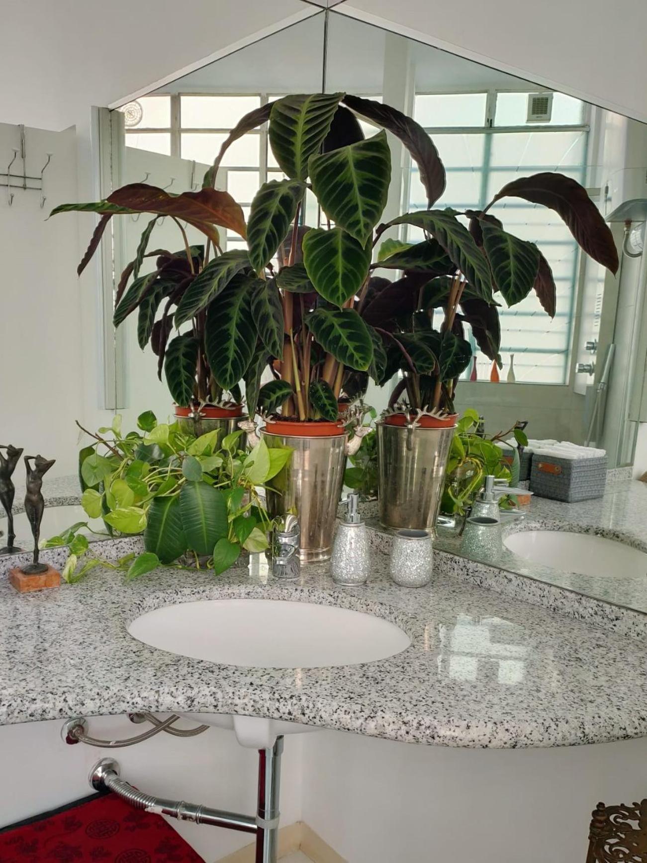 Bed & Breakfast My Place - Navigli Milano