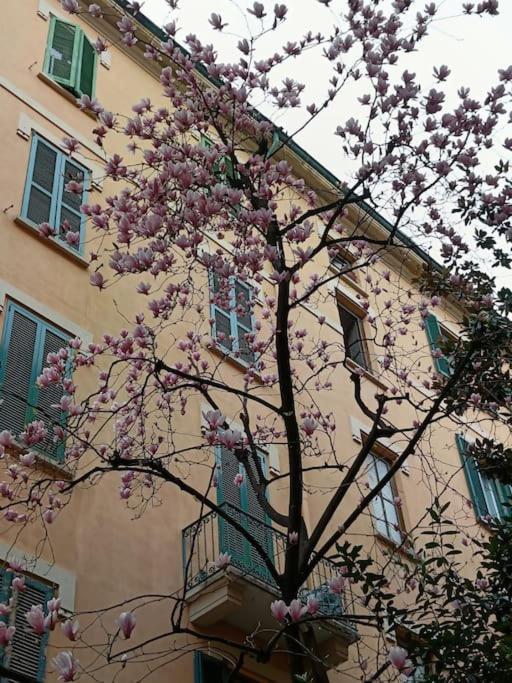 Appartamento Da Rosa E Pier - Charming *