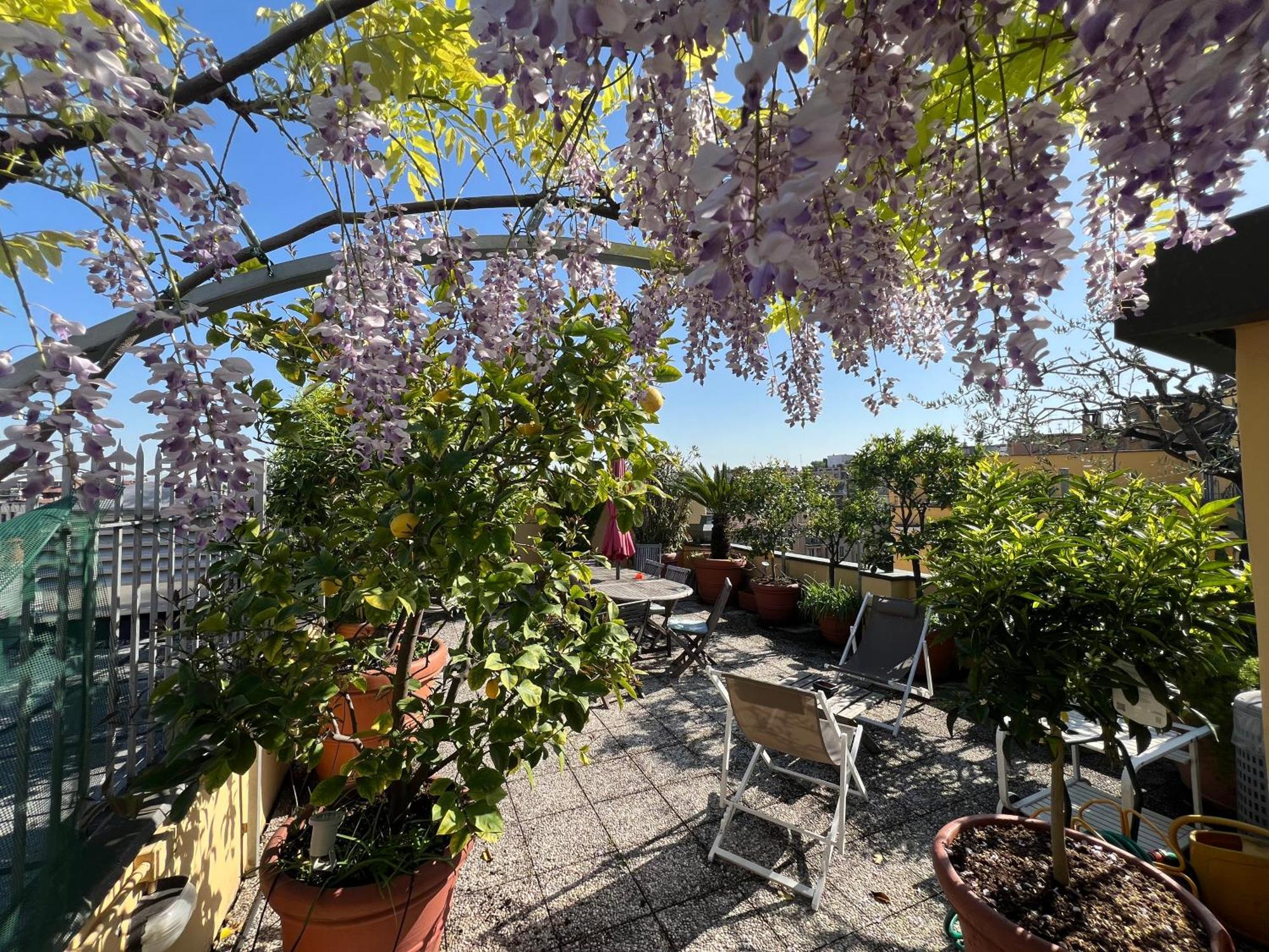 Dream Garden Center On Subway 10 Guest Apartment Milan