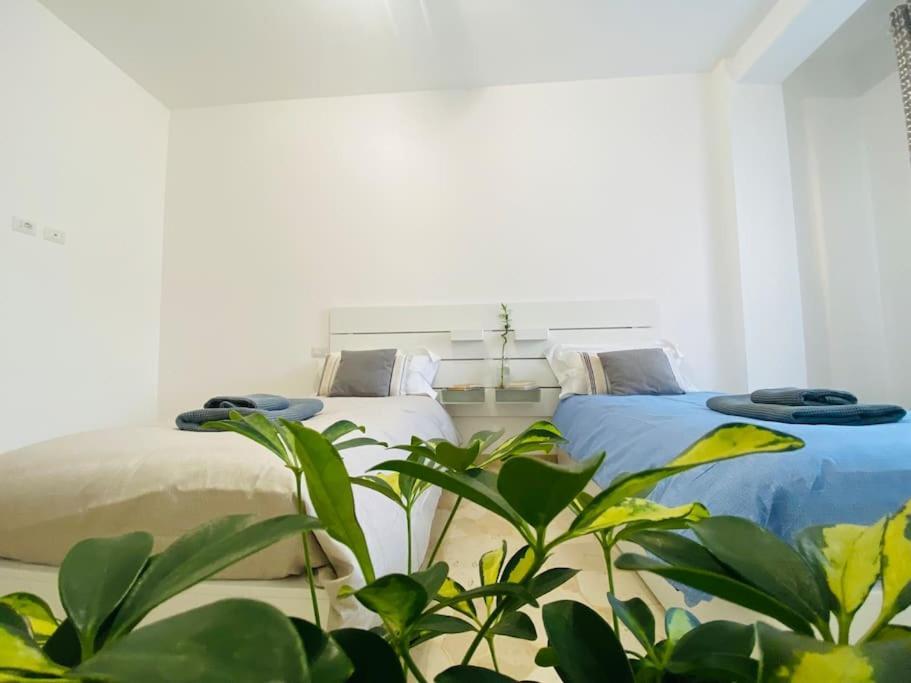 New And Elegant On The Navigli Netflix E Apartment *