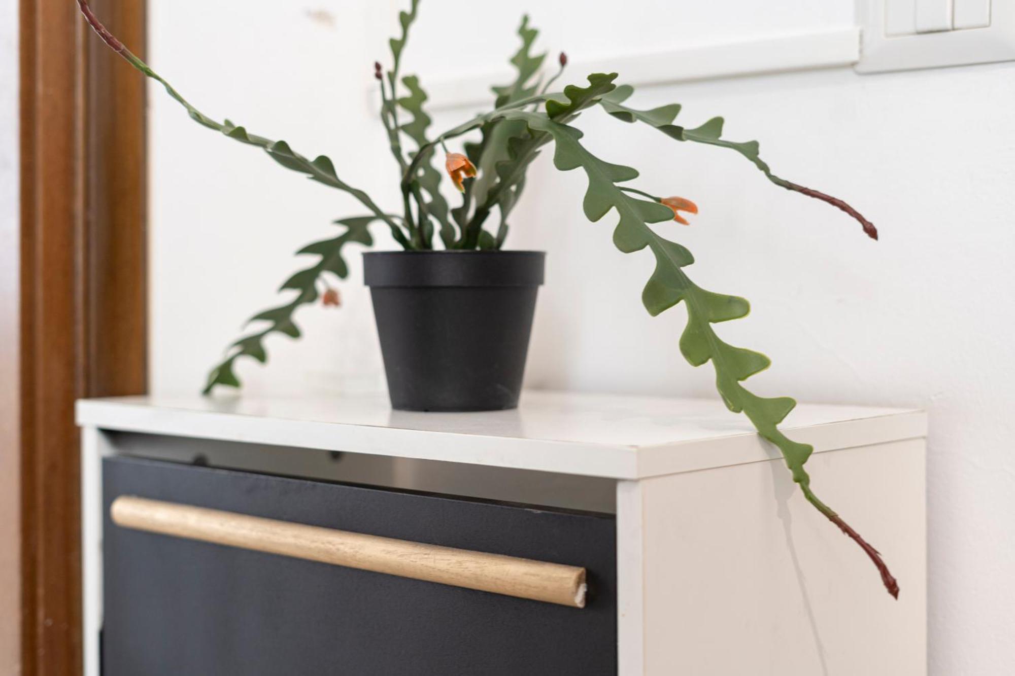 Apartamento I Host - Pasteur 15-2 Milão