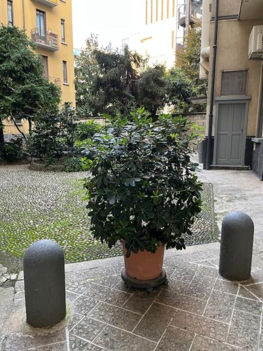 Tiny With Ideal Subway Connection Holiday home Milan