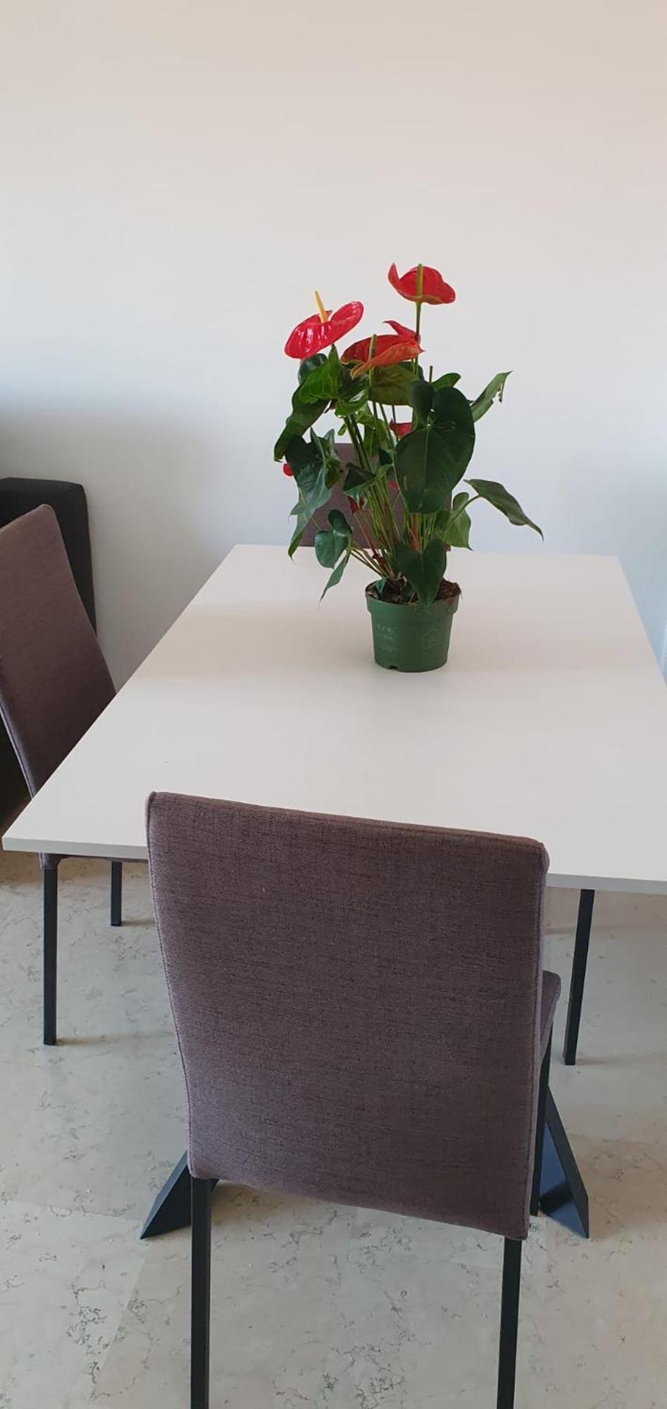 House Bocconi *