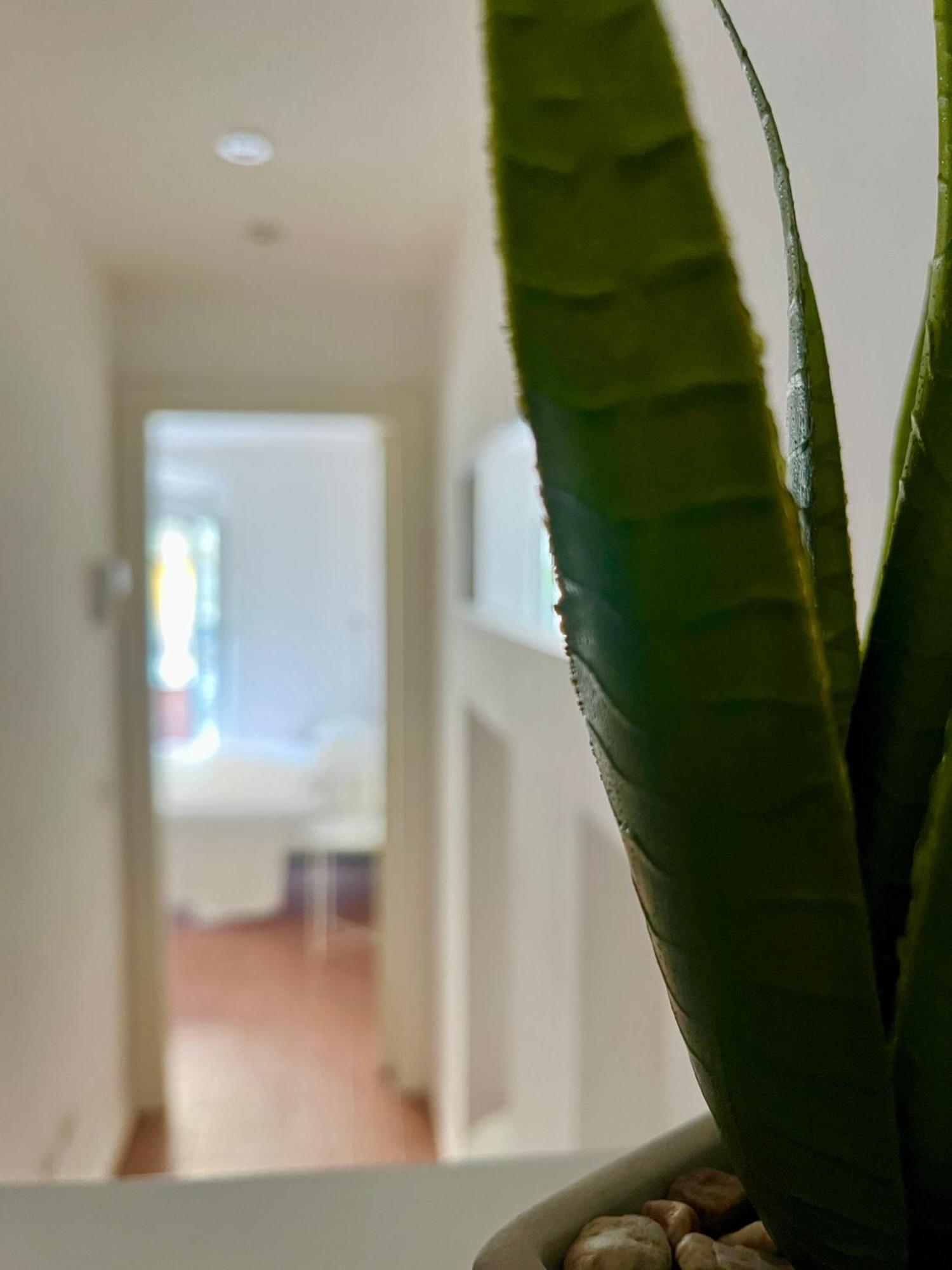 Apartment Porta Venezia Cozy *