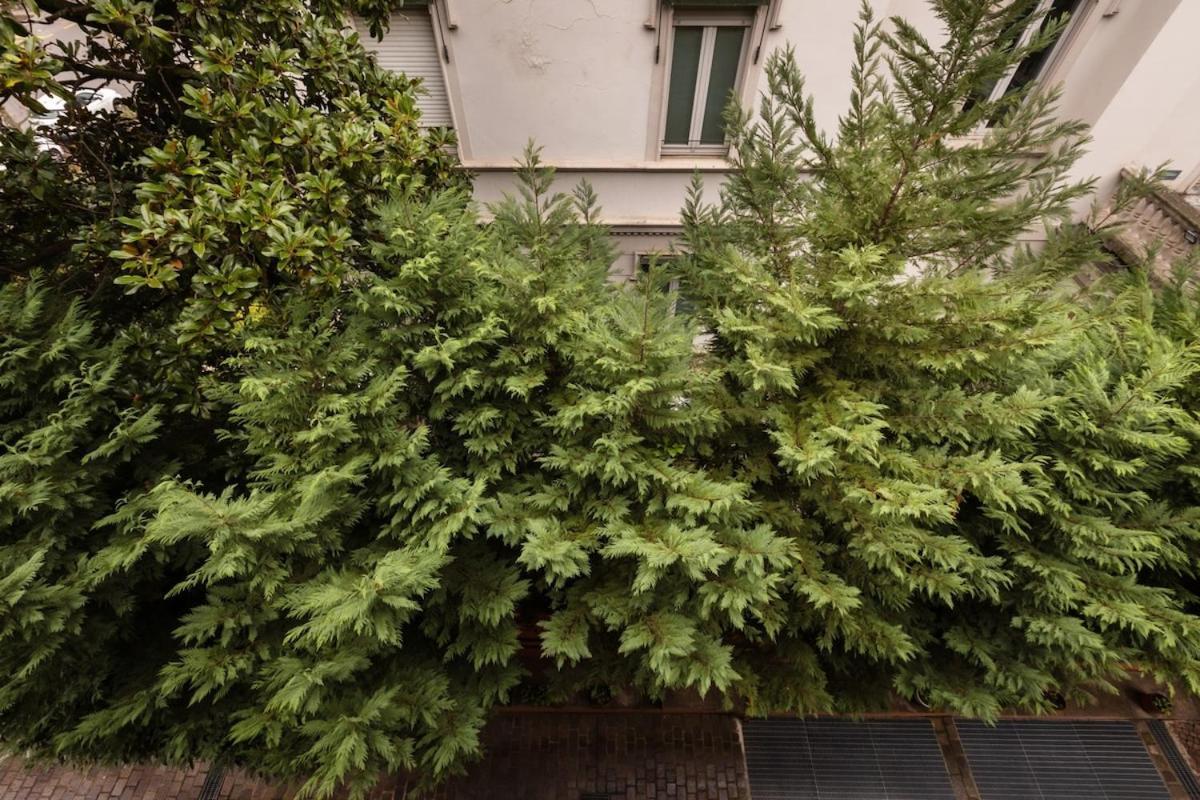 Apartment Beautiful 1 Bedroom Fiera Area - Mirable Pm