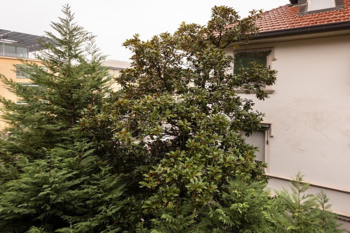 Beautiful 1 Bedroom Fiera Area - Mirable Pm Apartment *