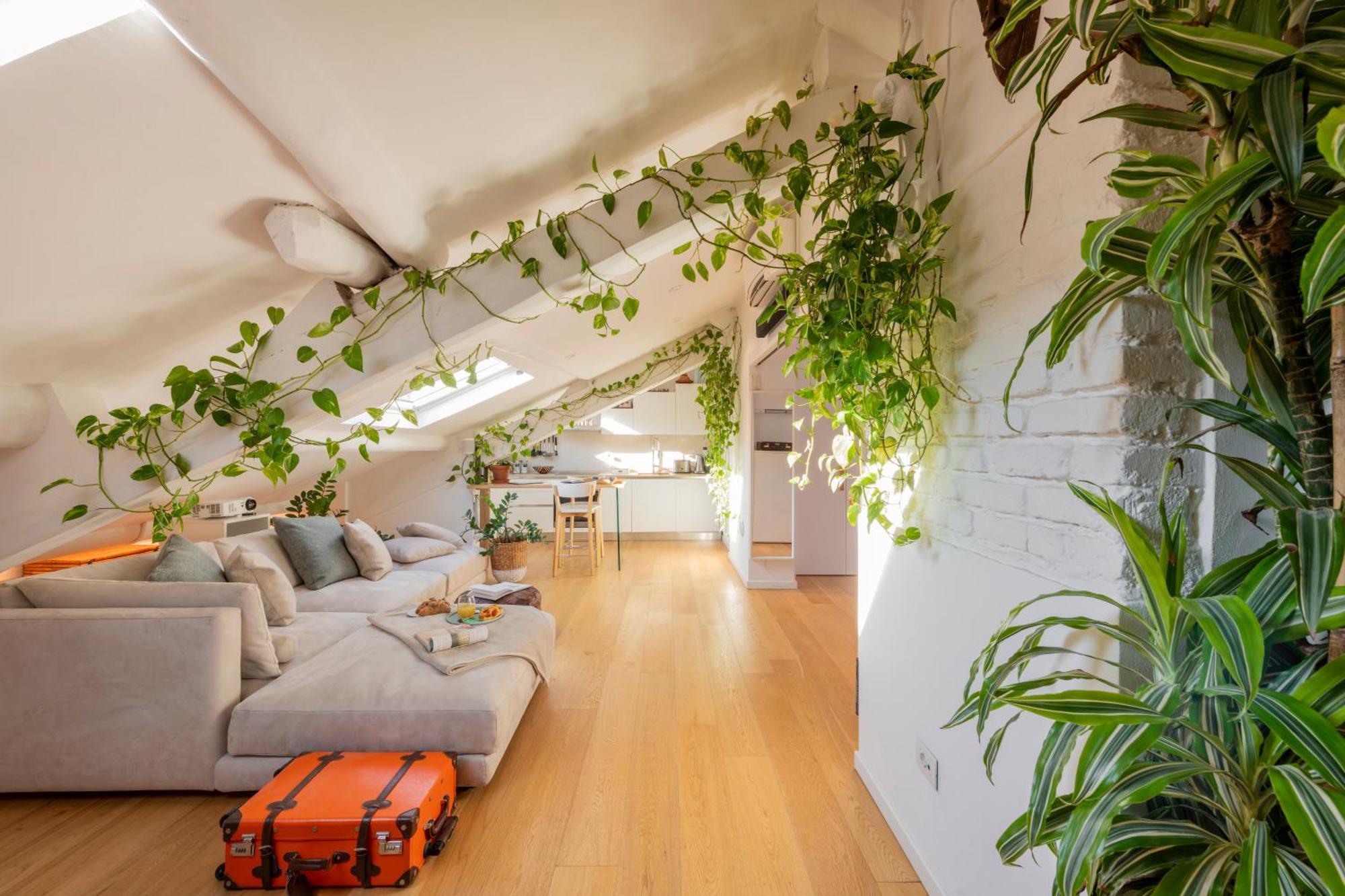 Bright Penthouse Attic In The Heart Of Apartment