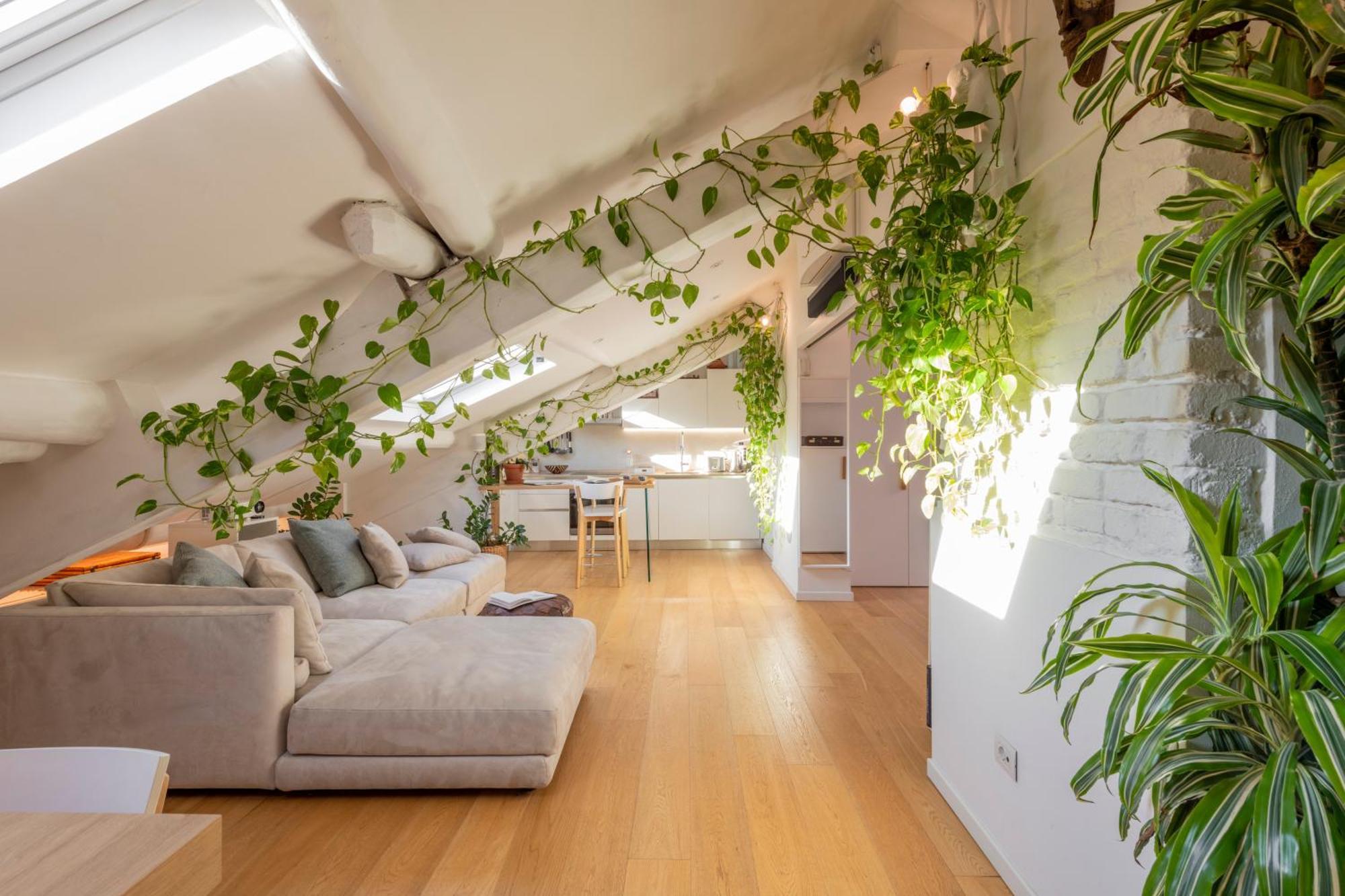 Bright Penthouse Attic In The Heart Of