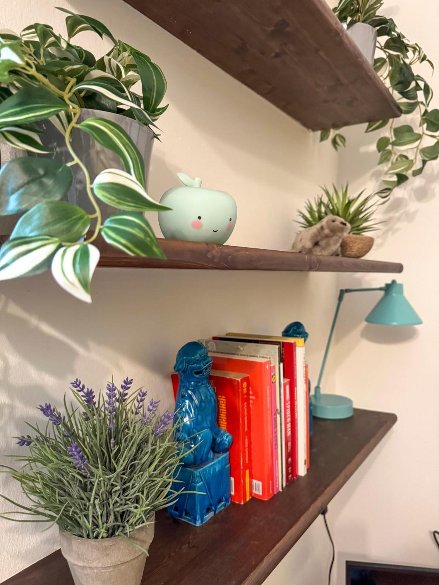 La Casa Di Zelda Apartment *