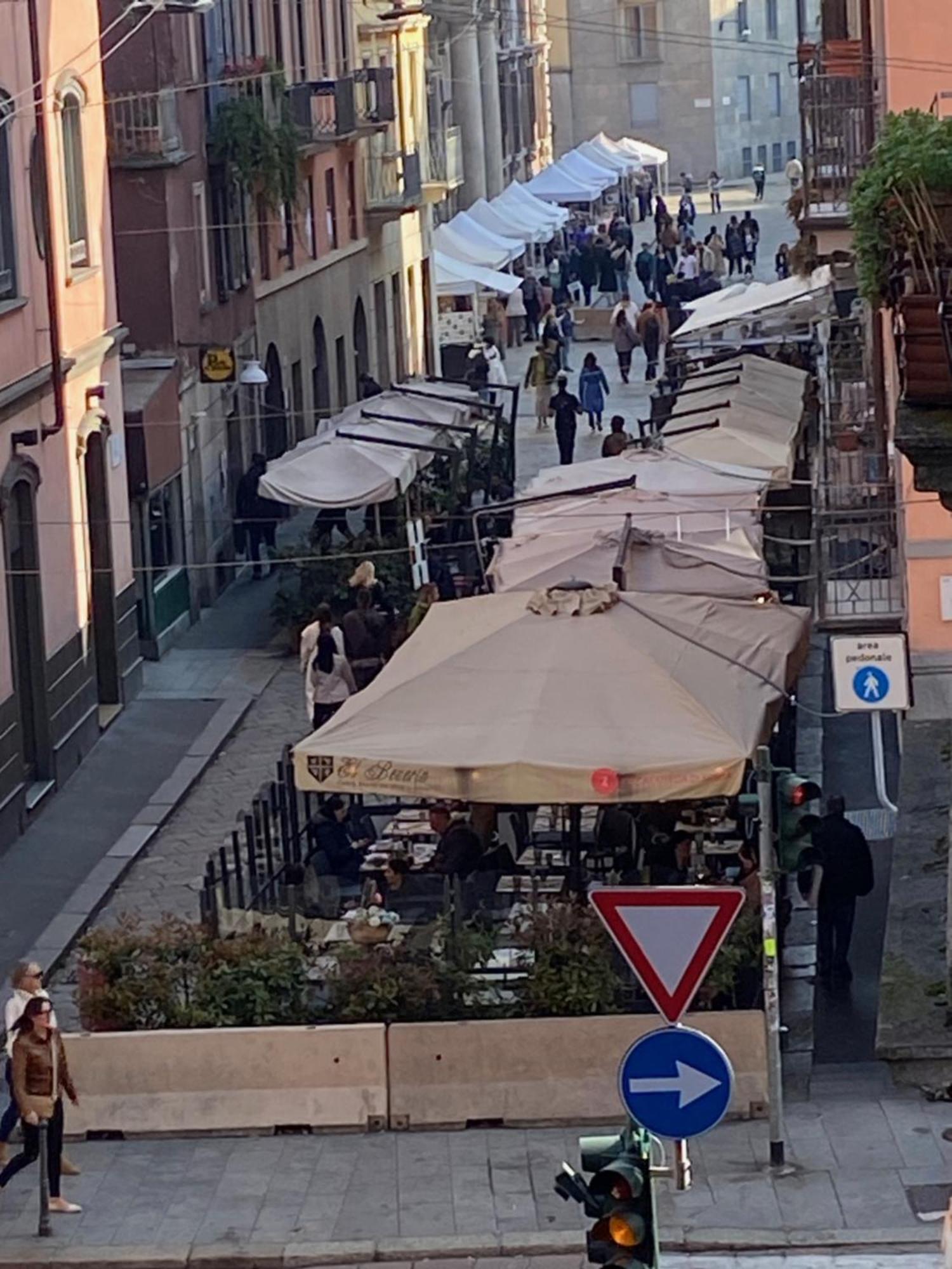 Brera's Elite *