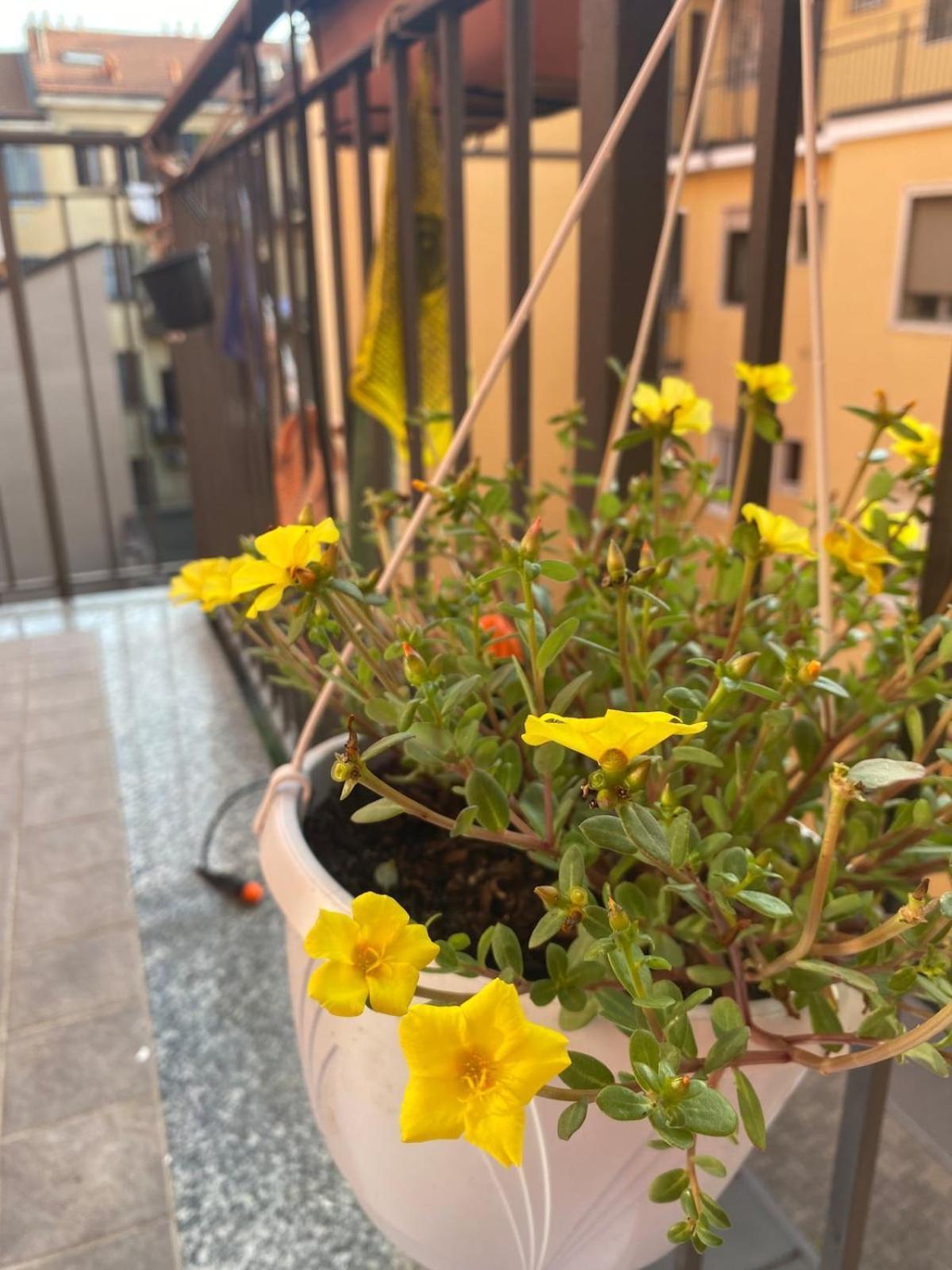 Luce Place Authentic Getaway Apartment *