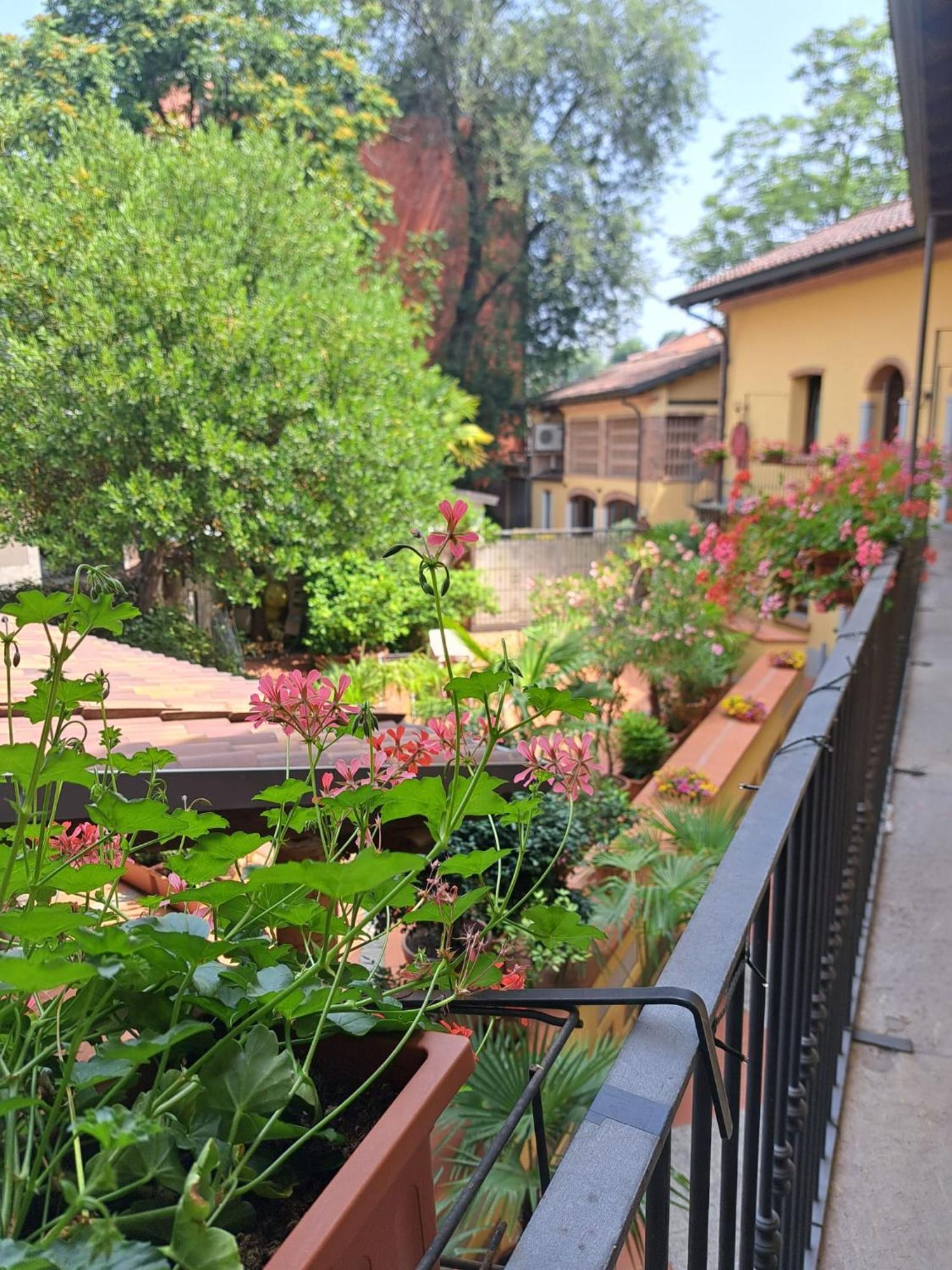 Apartamento Bilocale Dafne Abbadesse *