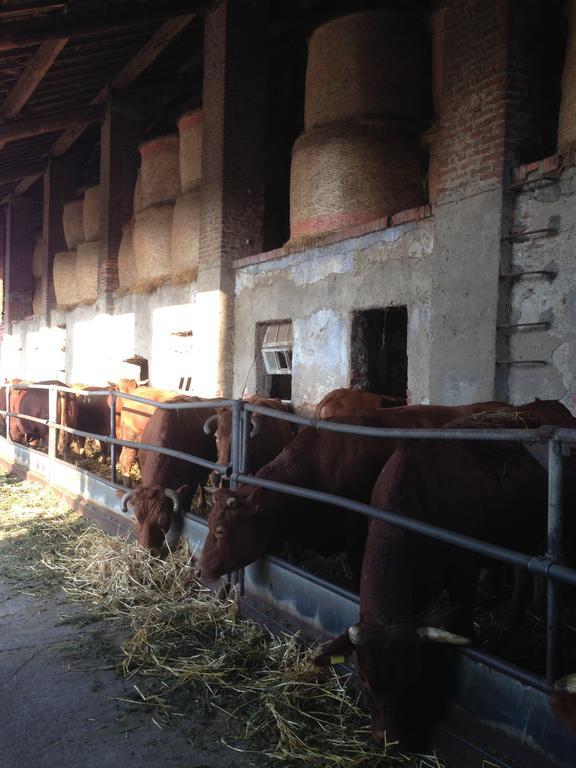 Cascina Battivacco *