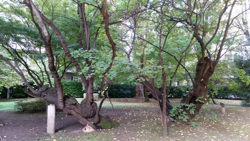 Park Emma Milan